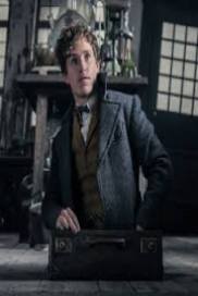 Fantastic Beasts The Crimes of Grindelwald